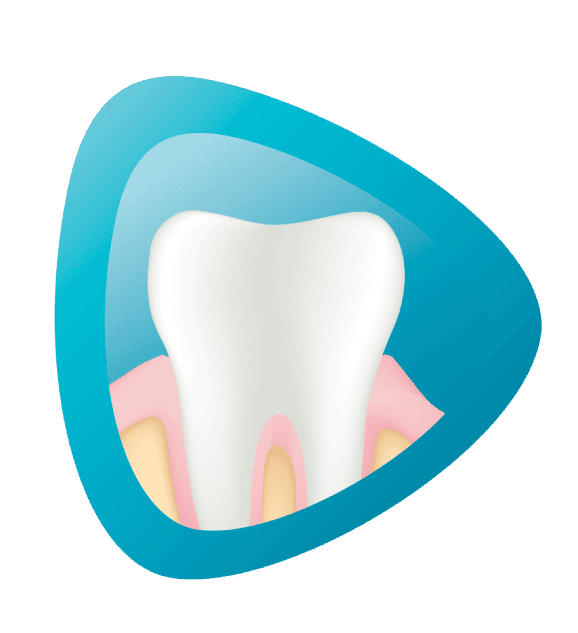 Healthy gums
